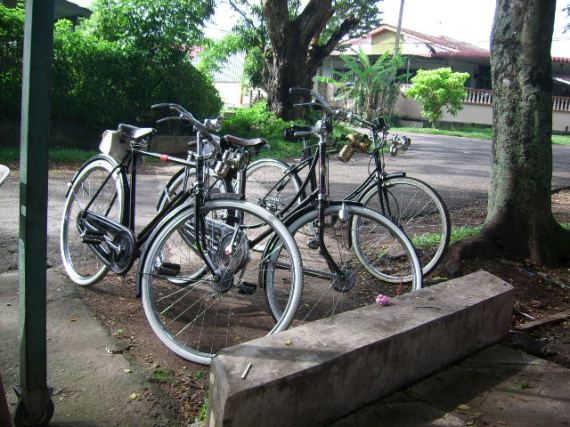 Basikal Panjang Beca